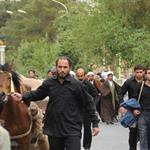 سریال سرزمین کهن اثری از کمال تبریزی
